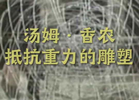 汤姆·香农的抵抗重力的雕塑