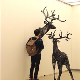 线条之美：韩国艺术家宋永元的线雕塑艺术