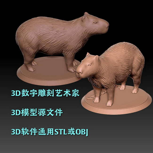 3D模型快照