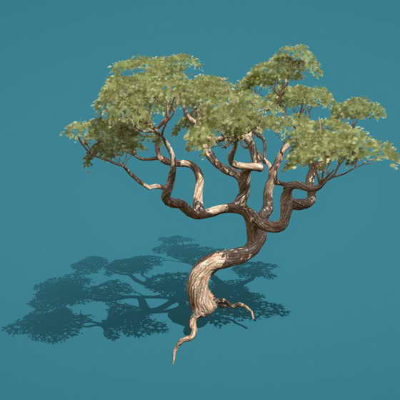 老树3D模型