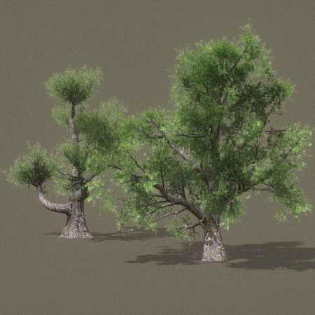 真实树木3D模型