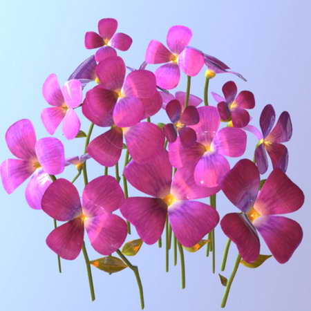 紫色小花朵3D模型